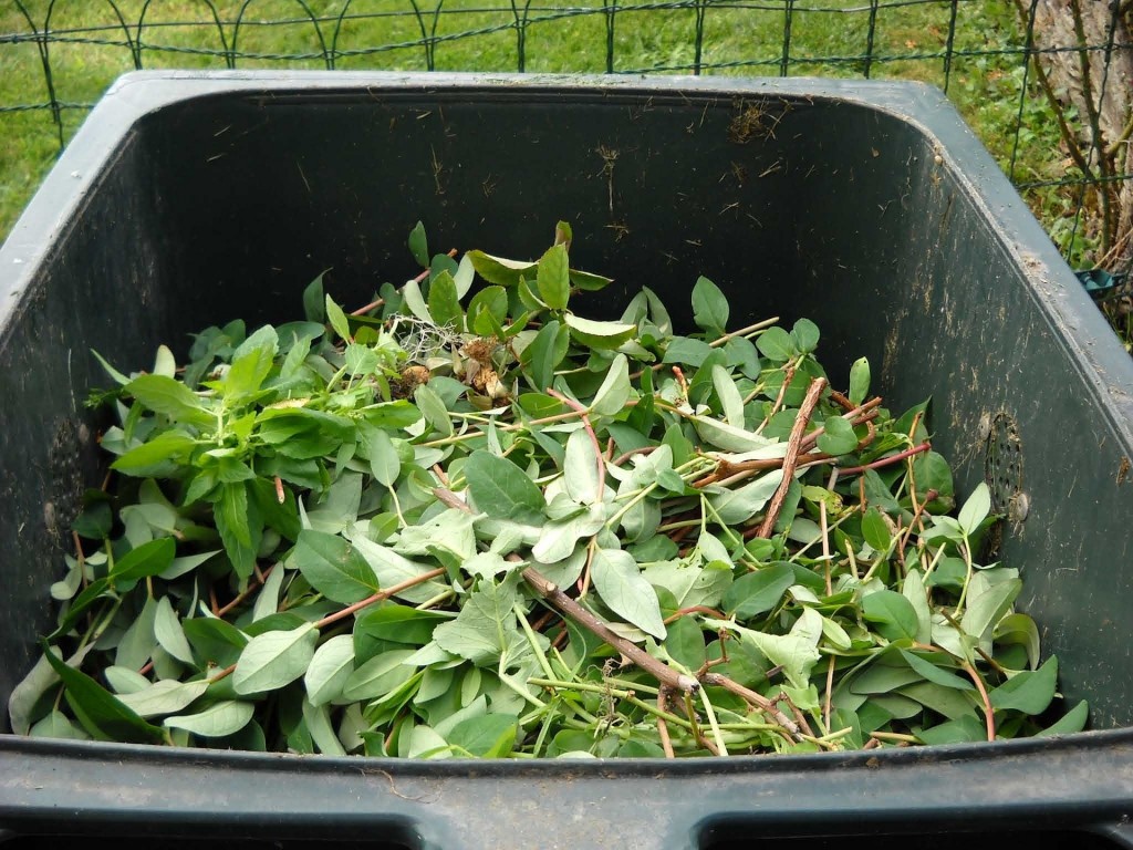 Informacja - dodatkowy odbiorów odpadów biodegradowalnych stanowiących części roślin