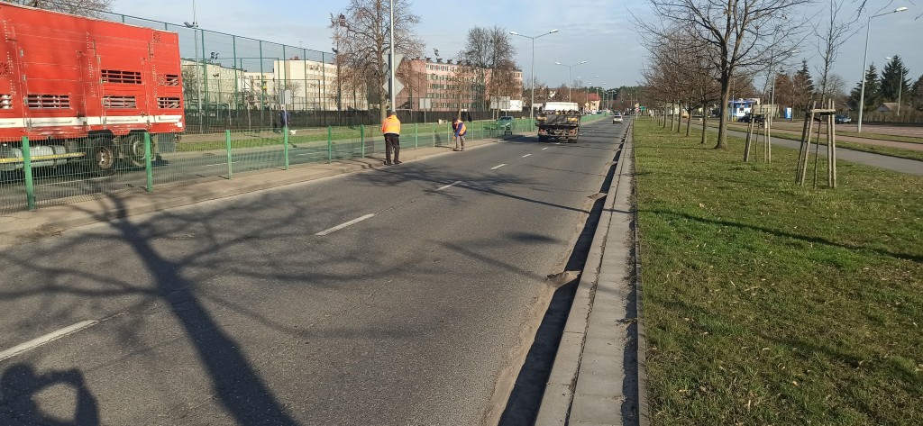Prace porządkowe po zimie