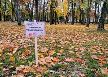 Tu nie sprzątamy liści, dajemy schronienie zwierzętom, użyźniamy i chronimy glebę!