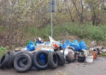 Sprzątanie świata na Osiedlu Leśne