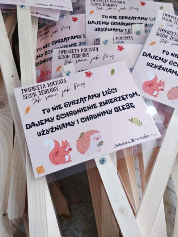 Tu nie sprzątamy liści, dajemy schronienie zwierzętom, użyźniamy i chronimy glebę!
