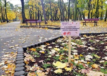Tu nie sprzątamy liści, dajemy schronienie zwierzętom, użyźniamy i chronimy glebę!