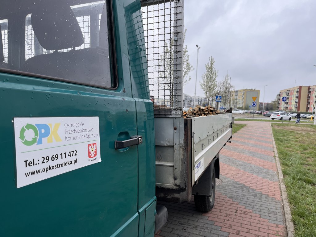 Nowe nasadzenia na terenie miasta