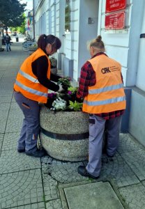 Miasto w rozkwicie 