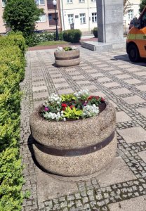 Miasto w rozkwicie 