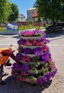 Kolejne kwietne nasadzenia