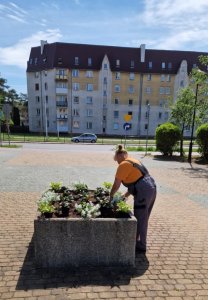 Miasto w rozkwicie 