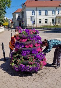 Kolejne kwietne nasadzenia