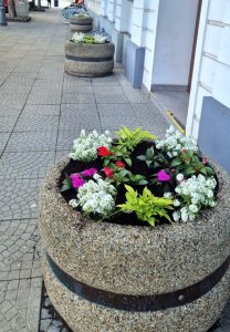 Miasto w rozkwicie 