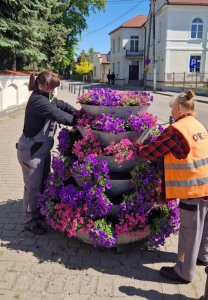 Miasto w rozkwicie 