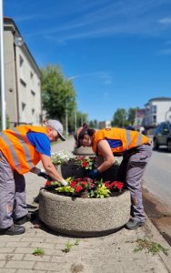 Donice uliczne – estetyka i funkcjonalność w przestrzeni miejskiej