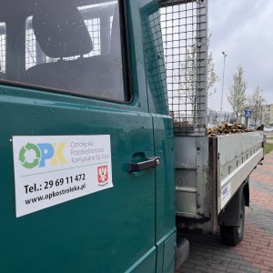 Nowe nasadzenia na terenie miasta