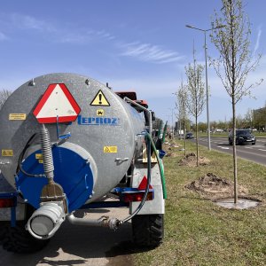 Nowe nasadzenia na terenie miasta